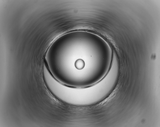 X0000099441369200805161124