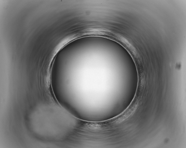 X0000099441370200805161124