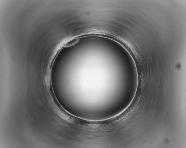X0000099441371200805161124