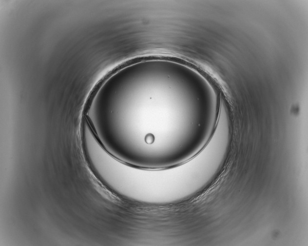 X0000099441372200805161124