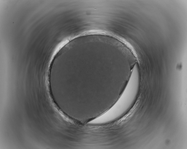 X0000099441373200805161124