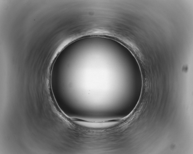 X0000099441374200805161124