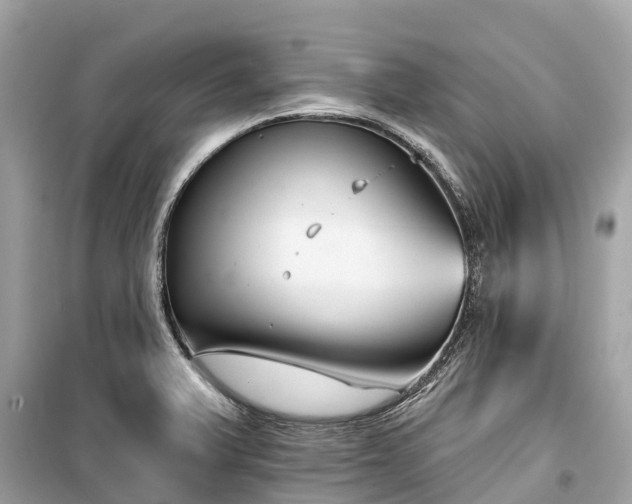 X0000099441375200805161124