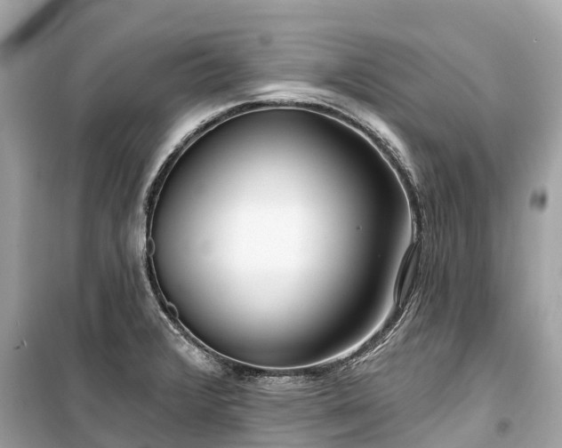 X0000099441376200805161124