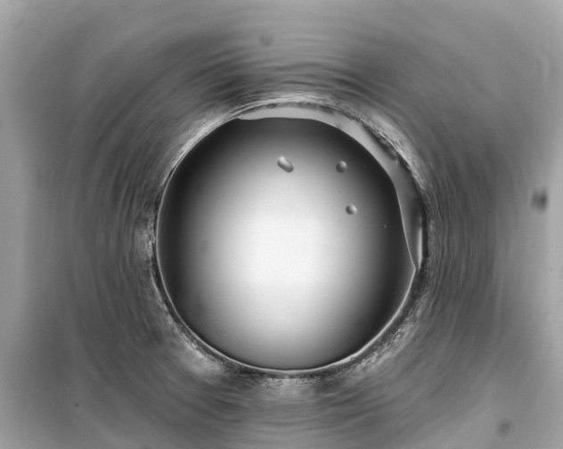 X0000099441377200805161124