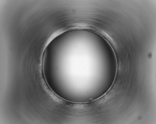 X0000099441378200805161124