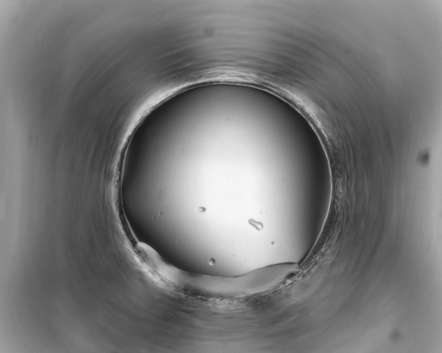 X0000099441379200805161123
