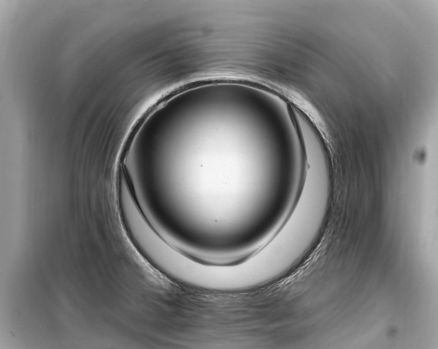 X0000099441380200805161123