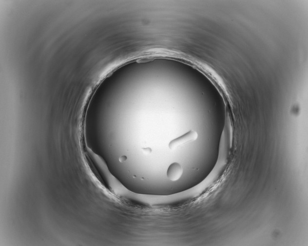X0000099441381200805161123