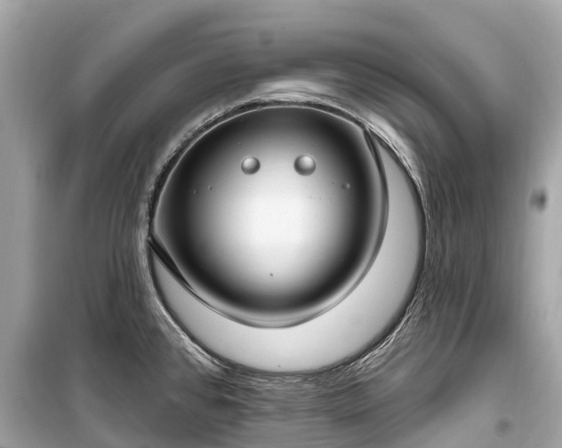 X0000099441384200805161123
