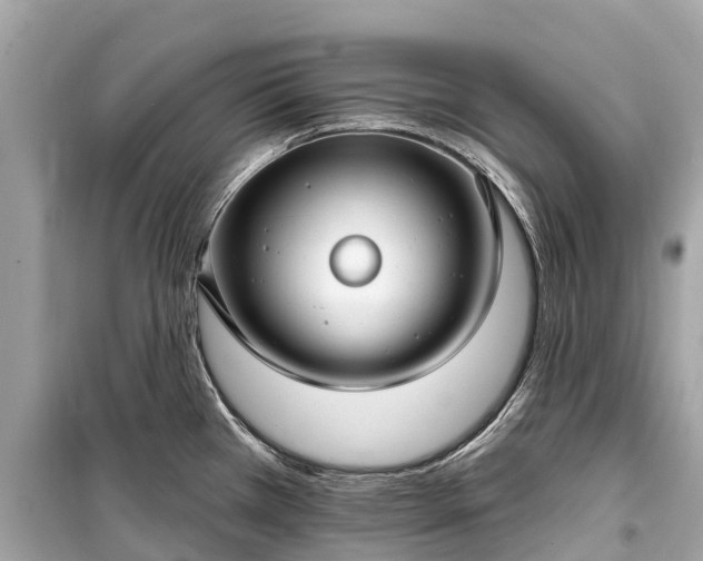 X0000099441385200805161123