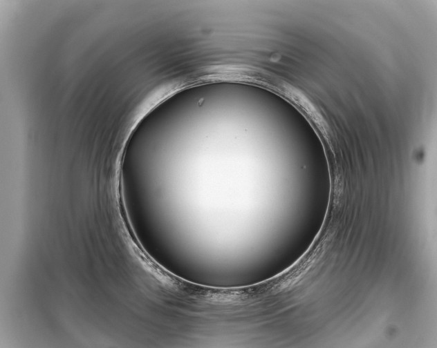 X0000099441386200805161123