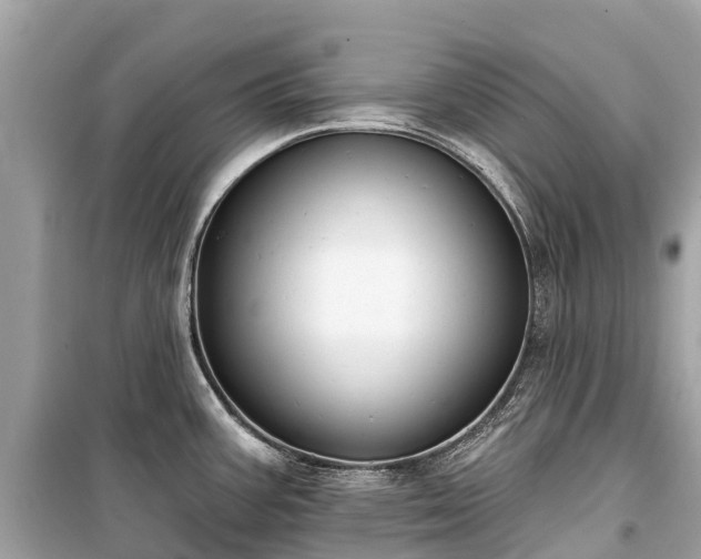 X0000099441387200805161123
