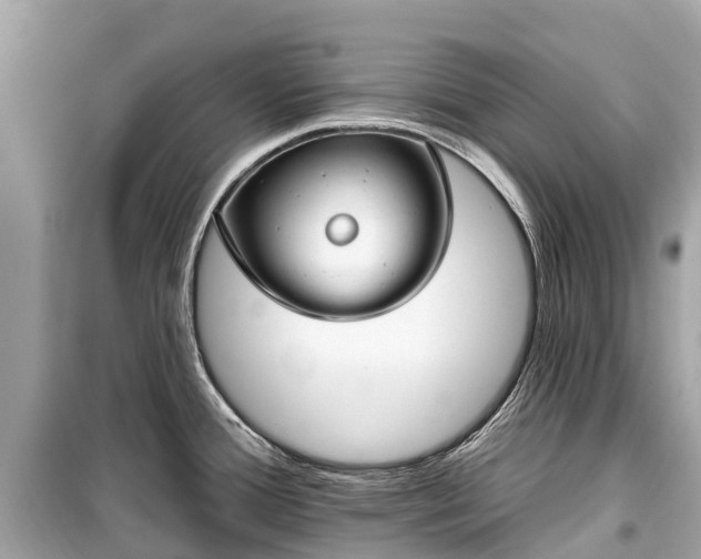 X0000099441388200805161123
