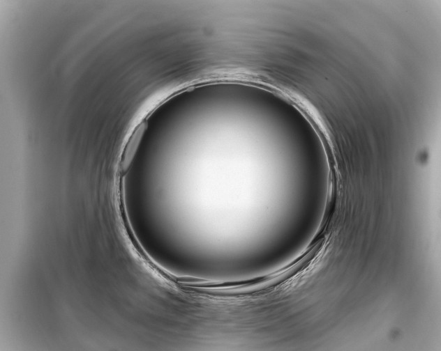 X0000099441389200805161123