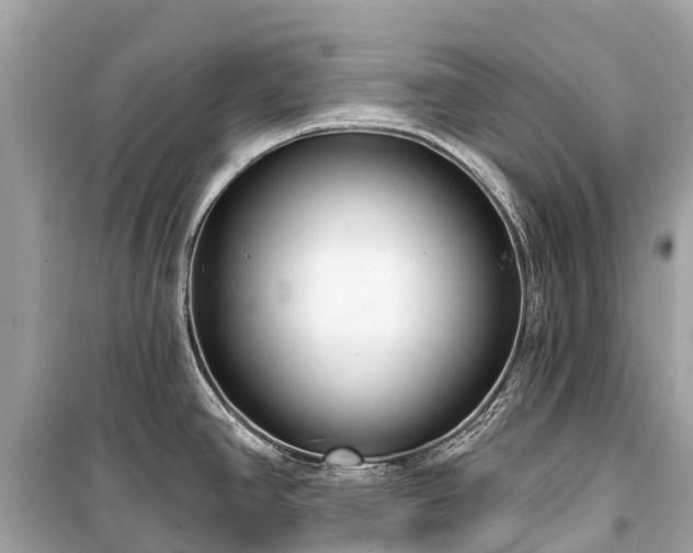 X0000099441390200805161123