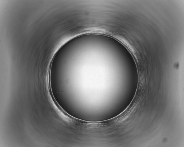 X0000099441391200805161123