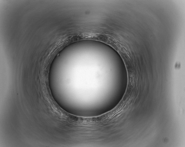 X0000099441393200805161123