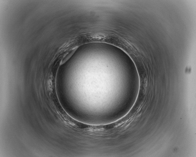 X0000099441394200805161123