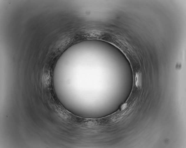 X0000099441395200805161123
