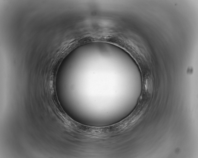 X0000099441396200805161123