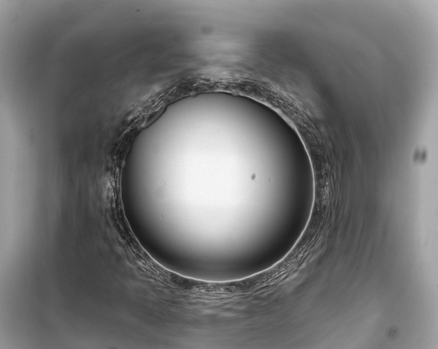 X0000099441397200805161123