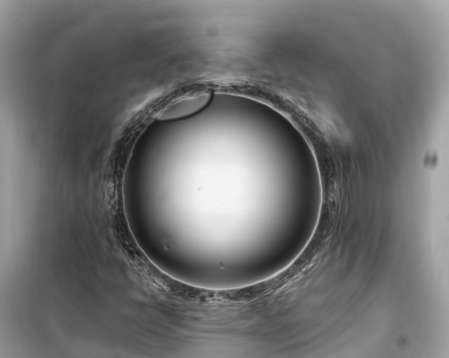 X0000099441398200805161123
