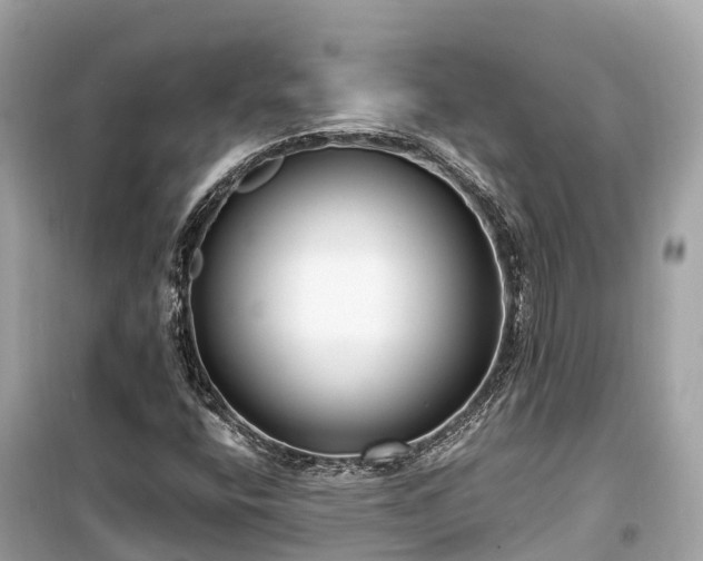 X0000099441400200805161123
