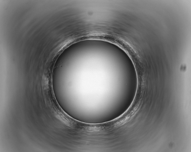 X0000099441401200805161123