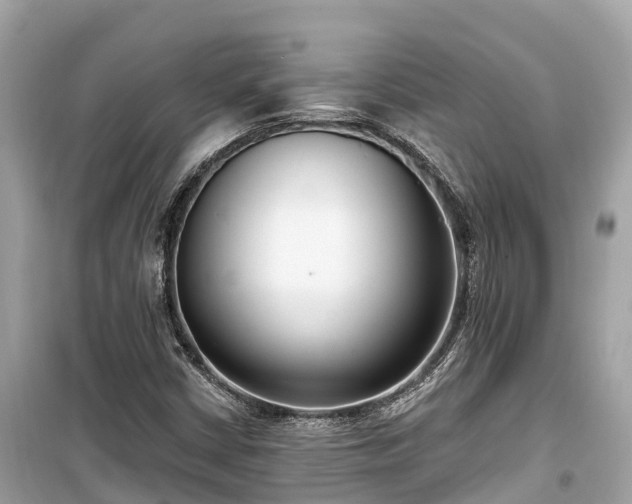 X0000099441402200805161123