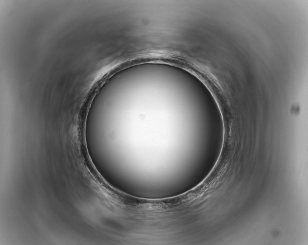 X0000099441404200805161123