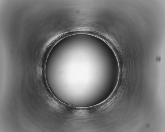 X0000099441406200805161123