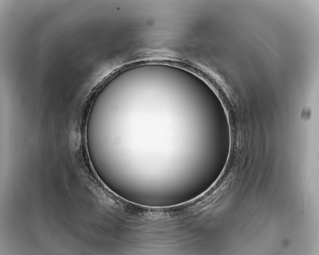 X0000099441407200805161123