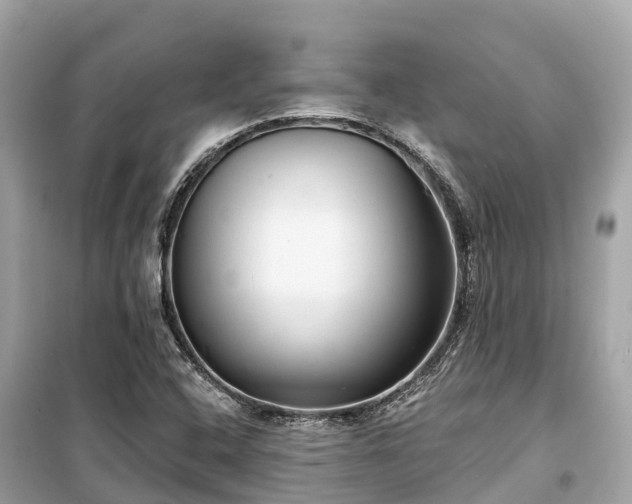 X0000099441408200805161123