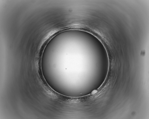 X0000099441410200805161123