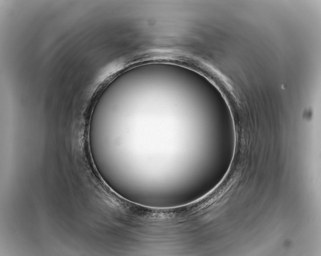X0000099441411200805161123