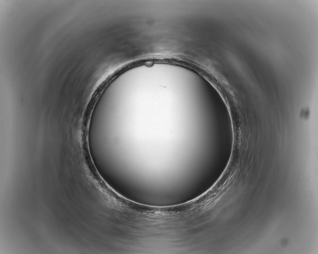 X0000099441412200805161123