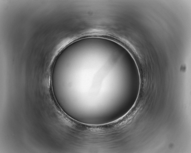 X0000099441413200805161123