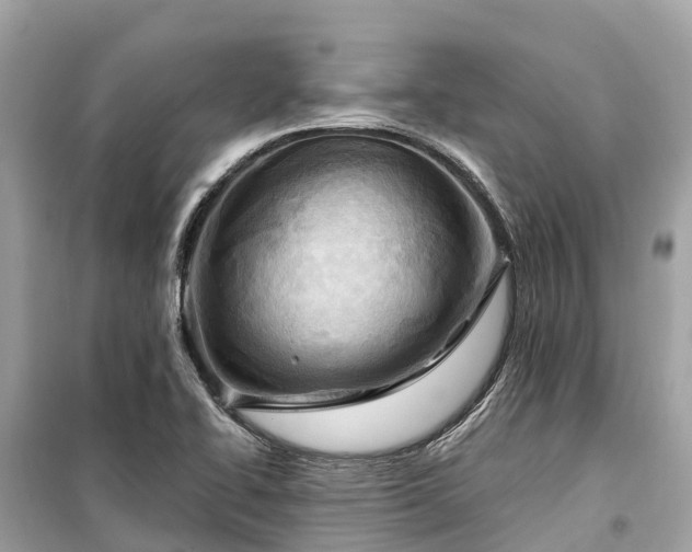 X0000099441414200805161123