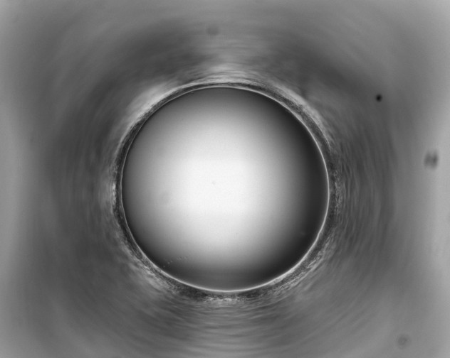 X0000099441415200805161123