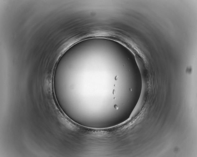 X0000099441417200805161123