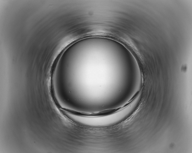 X0000099441418200805161123