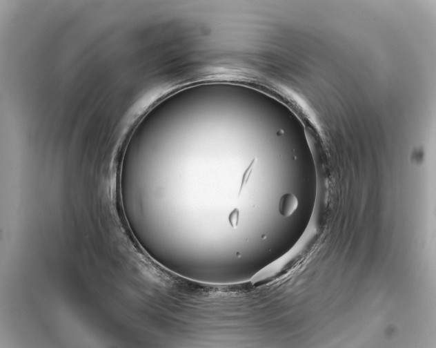 X0000099441419200805161123