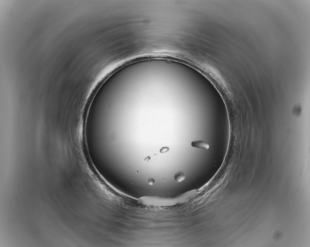 X0000099441420200805161123