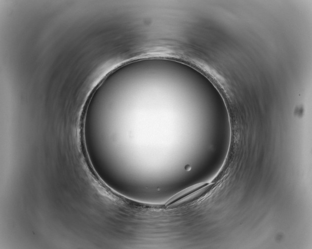 X0000099441423200805161123