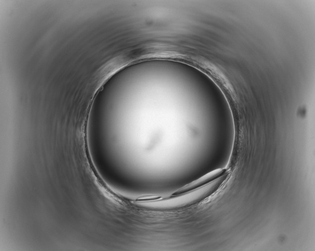 X0000099441425200805161123