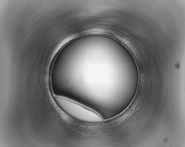X0000099441426200805161123