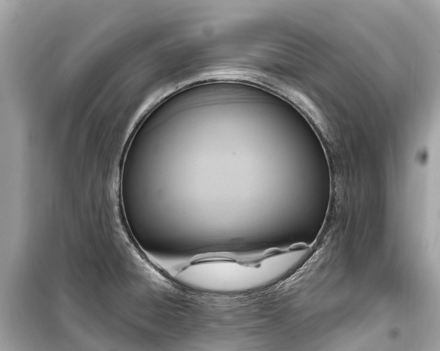 X0000099441428200805161123