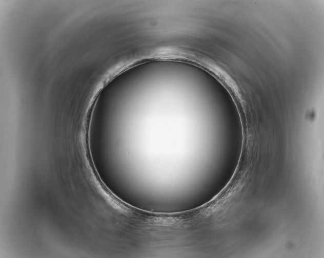 X0000099441429200805161123