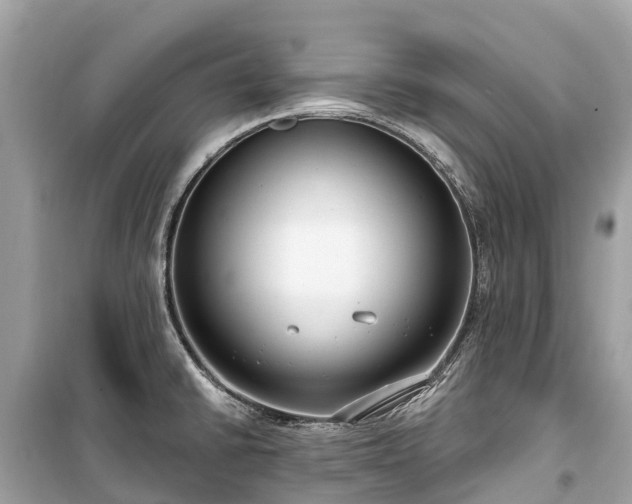 X0000099441430200805161123